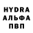 Alpha PVP СК beFUDdled HODLer