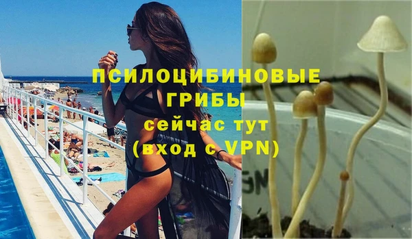 Альфа ПВП Балабаново